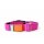 WowWow Hundehalsband mit integrierter Leine Pink