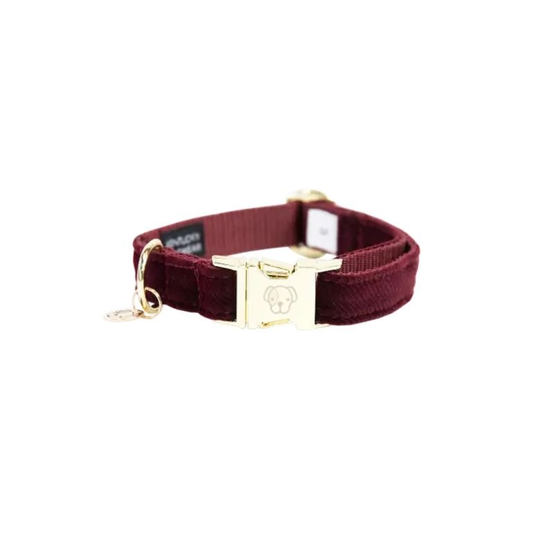 Kentucky Dogwear Hundehalsband Corduroy Bordeaux XS'25-38cm