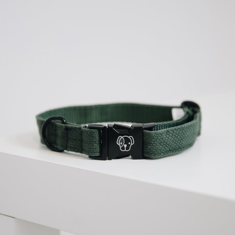 Kentucky Dogwear Hundehalsband Lizard Grün XS'25-38cm