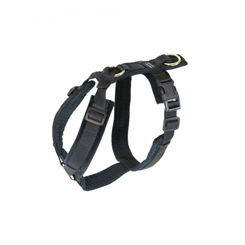 Kentucky Dogwear Hundegeschirr Aktiv Velvet Schwarz L 38-58cm