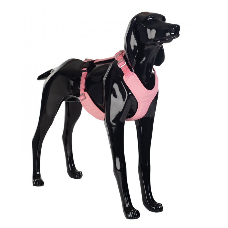 Paikka Hundegeschirr Visibility Rosa S