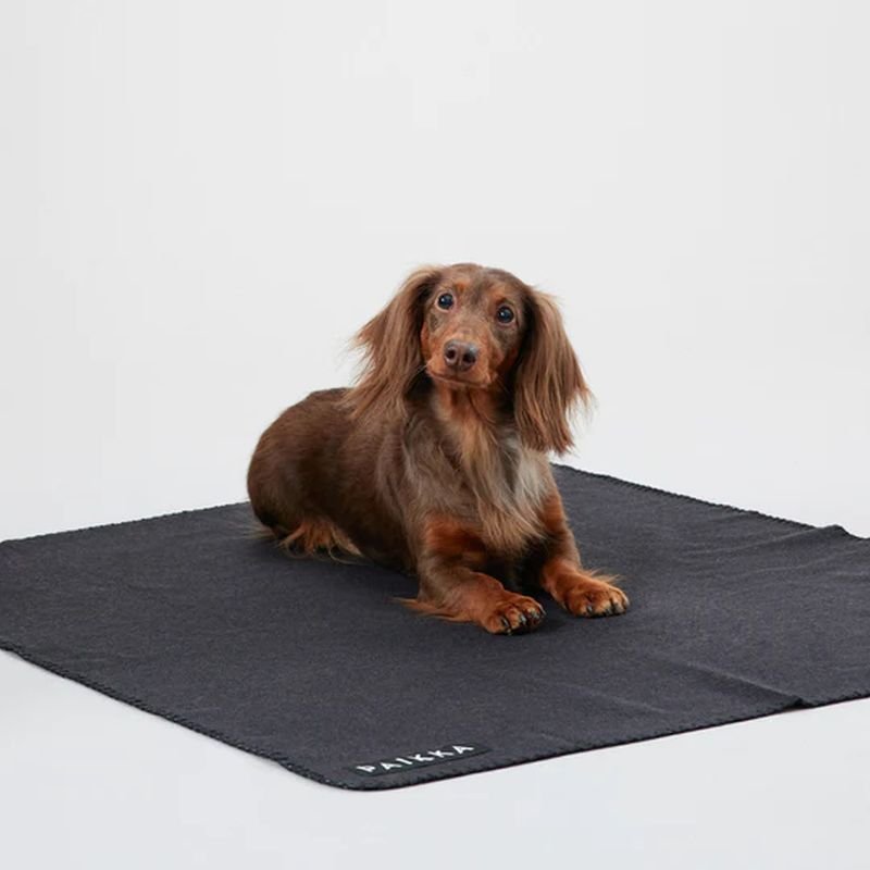 Paikka Hundedecke Recovery Grau 70x100cm