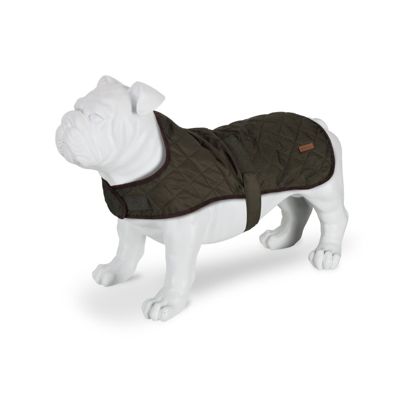 Regatta Hundemantel Odie Khaki L