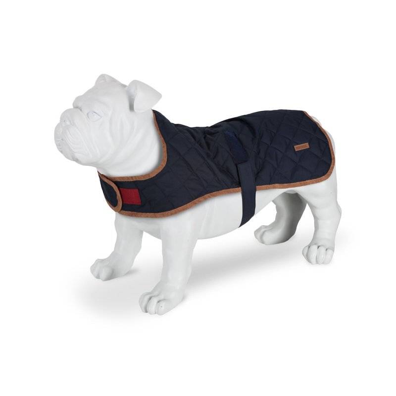 Regatta Hundemantel Odie Dunkelblau XL