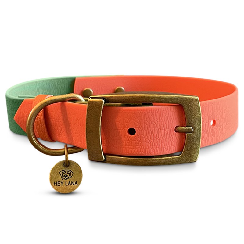 Hey Lana Hundehalsband Outdoor – Wasserfest Orange/Grün M