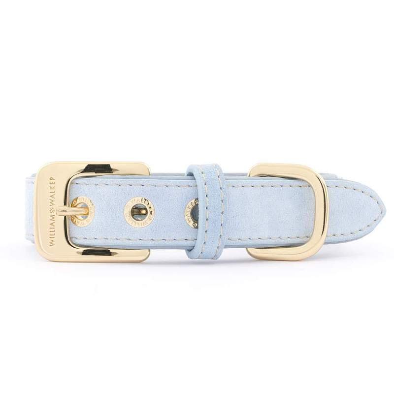 William Walker Leder Hundehalsband Hellblau L (43cm-52cm