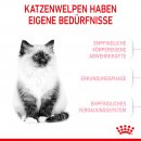 ROYAL CANIN KITTEN Trockenfutter f&uuml;r K&auml;tzchen bis zum 12. Monat 10 Kg