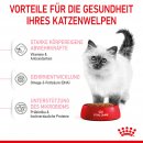 ROYAL CANIN KITTEN Trockenfutter f&uuml;r K&auml;tzchen bis zum 12. Monat 10 Kg