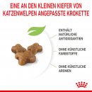 ROYAL CANIN KITTEN Trockenfutter f&uuml;r K&auml;tzchen bis zum 12. Monat 10 Kg