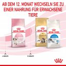 ROYAL CANIN KITTEN Trockenfutter f&uuml;r K&auml;tzchen bis zum 12. Monat 10 Kg