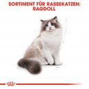 ROYAL CANIN Ragdoll Adult Katzenfutter trocken 10 Kg