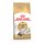 ROYAL CANIN Ragdoll Adult Katzenfutter trocken 10 Kg