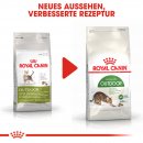 ROYAL CANIN OUTDOOR Katzenfutter trocken f&uuml;r Freig&auml;nger 2 Kg