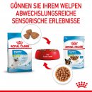 ROYAL CANIN X-SMALL Puppy Trockenfutter f&uuml;r Welpen sehr kleiner Hunderassen 3 Kg