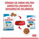 ROYAL CANIN X-SMALL Puppy Trockenfutter f&uuml;r Welpen sehr kleiner Hunderassen 3 Kg