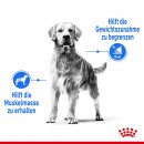 ROYAL CANIN LIGHT WEIGHT CARE MAXI Trockenfutter f&uuml;r zu &Uuml;bergewicht neigenden Hunden 12 Kg