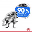 ROYAL CANIN LIGHT WEIGHT CARE MAXI Trockenfutter f&uuml;r zu &Uuml;bergewicht neigenden Hunden 12 Kg