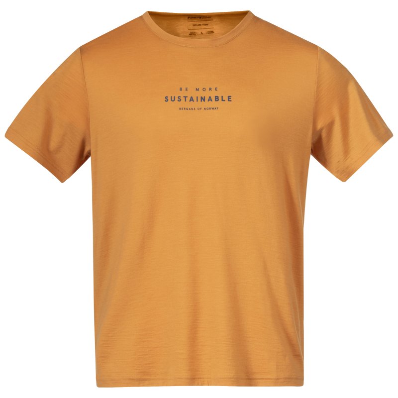 Bergans Herren T-Shirt Graphic Wool Tee Golden Field S