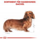 ROYAL CANIN Dachshund Adult Hundefutter trocken f&uuml;r Dackel 1,5 Kg