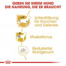 ROYAL CANIN Dachshund Adult Hundefutter trocken f&uuml;r Dackel 1,5 Kg