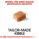 ROYAL CANIN Dachshund Adult Hundefutter trocken f&uuml;r Dackel 1,5 Kg