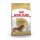 ROYAL CANIN Dachshund Adult Hundefutter trocken für Dackel 1,5 Kg