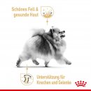 ROYAL CANIN Breed Pomeranian Feuchtnahrung f&uuml;r Zwergspitze als Mousse 12x85 g