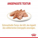 ROYAL CANIN Breed Pomeranian Feuchtnahrung f&uuml;r Zwergspitze als Mousse 12x85 g