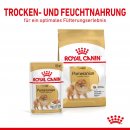 ROYAL CANIN Breed Pomeranian Feuchtnahrung f&uuml;r Zwergspitze als Mousse 12x85 g