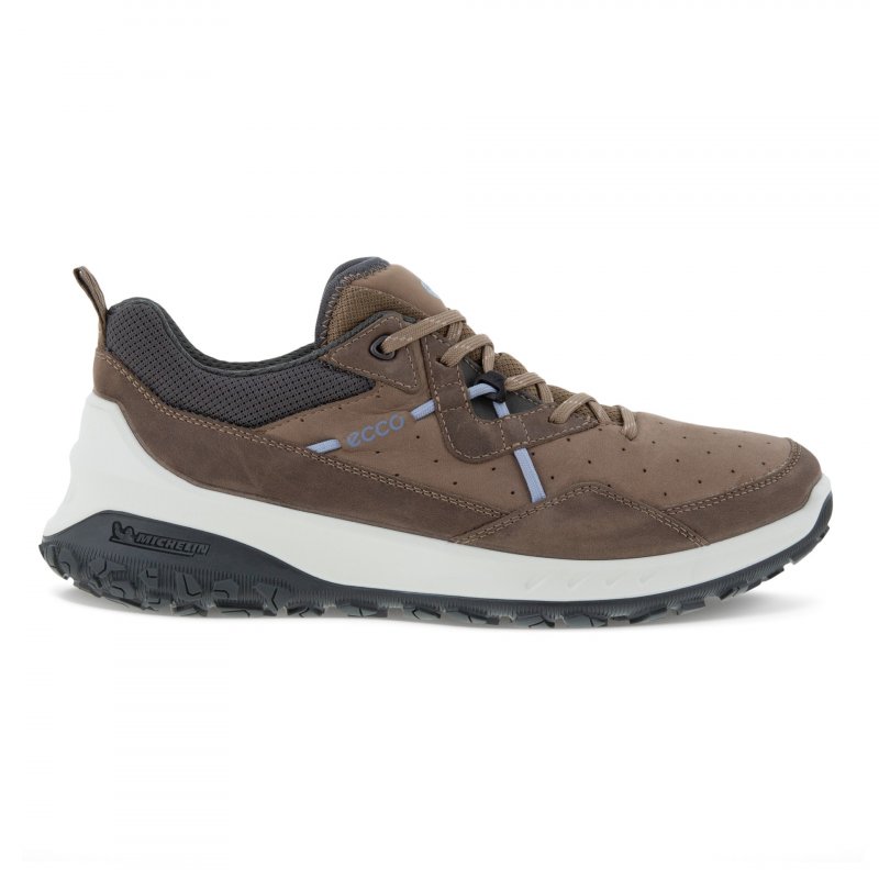 Ecco Damenschuh ULT-TRN Low Taupe 36