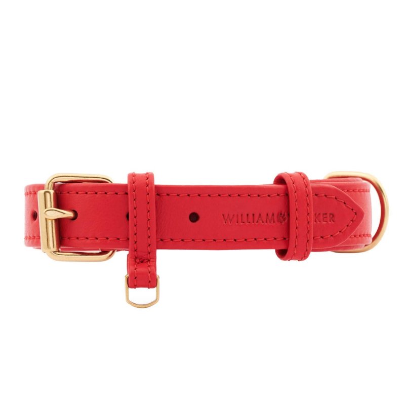 William Walker Hundehalsband Plain Chili XXS 22cm-26cm