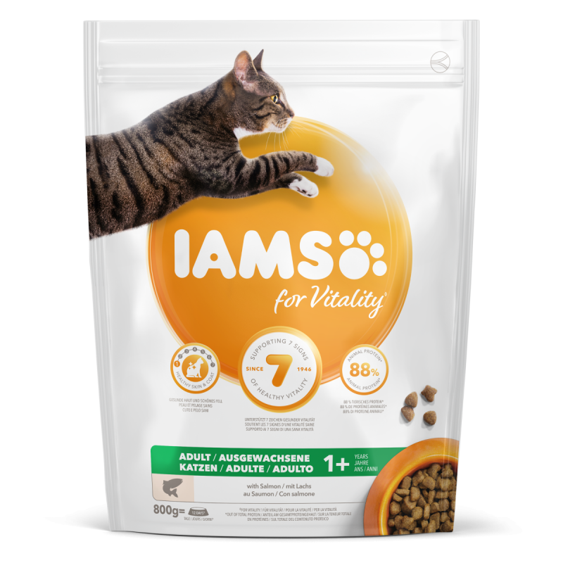 IAMS for Vitality Katzentrockenfutter mit Lachs 800g