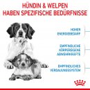 ROYAL CANIN MEDIUM Starter f&uuml;r tragende H&uuml;ndin und Welpen mittelgro&szlig;er Rassen 15 Kg