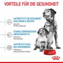 ROYAL CANIN MEDIUM Starter f&uuml;r tragende H&uuml;ndin und Welpen mittelgro&szlig;er Rassen 15 Kg