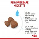 ROYAL CANIN MEDIUM Starter f&uuml;r tragende H&uuml;ndin und Welpen mittelgro&szlig;er Rassen 15 Kg