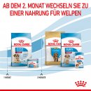 ROYAL CANIN MEDIUM Starter f&uuml;r tragende H&uuml;ndin und Welpen mittelgro&szlig;er Rassen 15 Kg