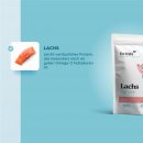 Dr. Sam Katzen Snack Lachs Softies