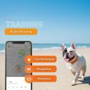 Weenect Hunde GPS Tracker XS