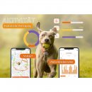 Weenect Hunde GPS Tracker XS