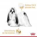 ROYAL CANIN Breed Shih Tzu Feuchtnahrung als Mousse 12x85 g