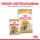 ROYAL CANIN Breed Shih Tzu Feuchtnahrung als Mousse 12x85 g