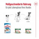 ROYAL CANIN Hunde Nassfutter MINI Adult Loaf Mousse