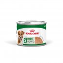 ROYAL CANIN Hunde Nassfutter MINI Ageing Loaf Mousse