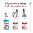 ROYAL CANIN Hunde Nassfutter MEDIUM Adult Loaf Mousse