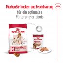 ROYAL CANIN Hunde Nassfutter MEDIUM Adult Loaf Mousse