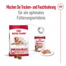 ROYAL CANIN Hunde Nassfutter MEDIUM Ageing Loaf Mousse