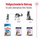 ROYAL CANIN Hunde Nassfutter MAXI Adult Loaf Mousse