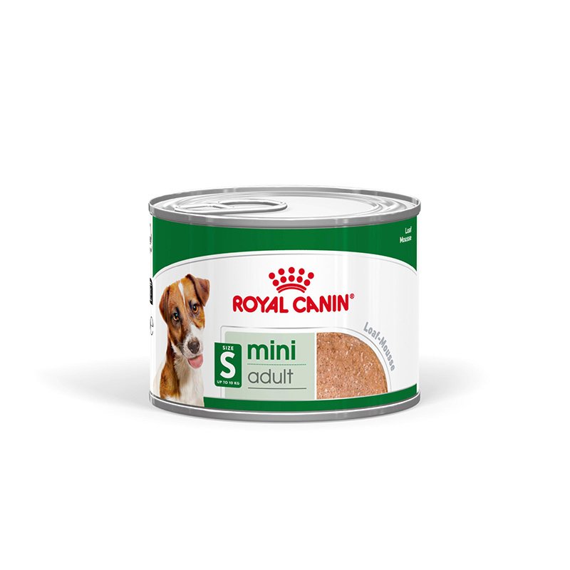 ROYAL CANIN Hunde Nassfutter MINI Adult Loaf Mousse 12 x 195g