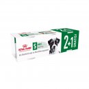 ROYAL CANIN Hunde Nassfutter MINI Ageing Loaf Mousse 3 x...