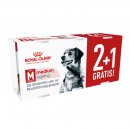 ROYAL CANIN Hunde Nassfutter MEDIUM Ageing Loaf Mousse 3...